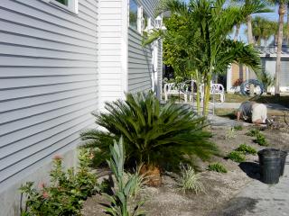 Hall Plantings January 2002 - Slide 3