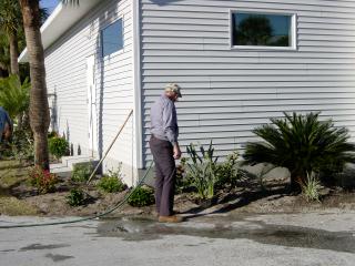 Hall Plantings January 2002 - Slide 4