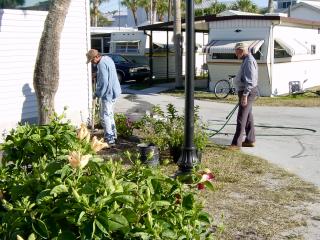 Hall Plantings January 2002 - Slide 5