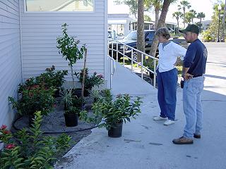 Hall Plantings January 2002 - Slide 6