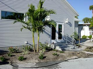 Hall Plantings January 2002 - Slide 12