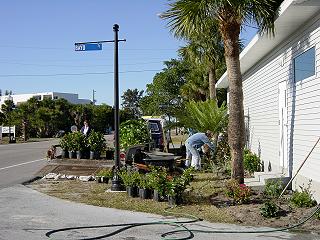 Hall Plantings January 2002 - Slide 13