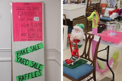 Gulf to Bay 2015 Carnival <br> Photos by  Jim Ackert - Slide 1