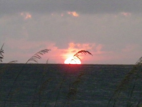 Gulf To Bay Dinners - Slide 23