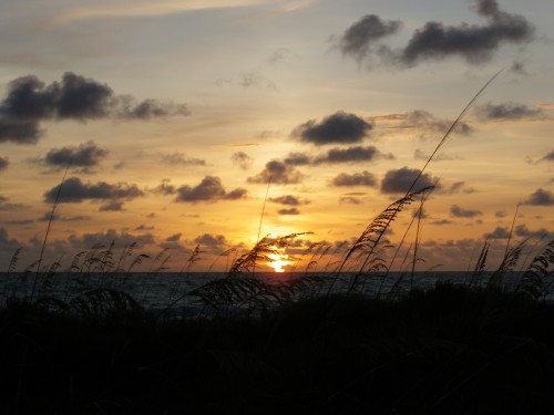 Gulf To Bay Dinners - Slide 24