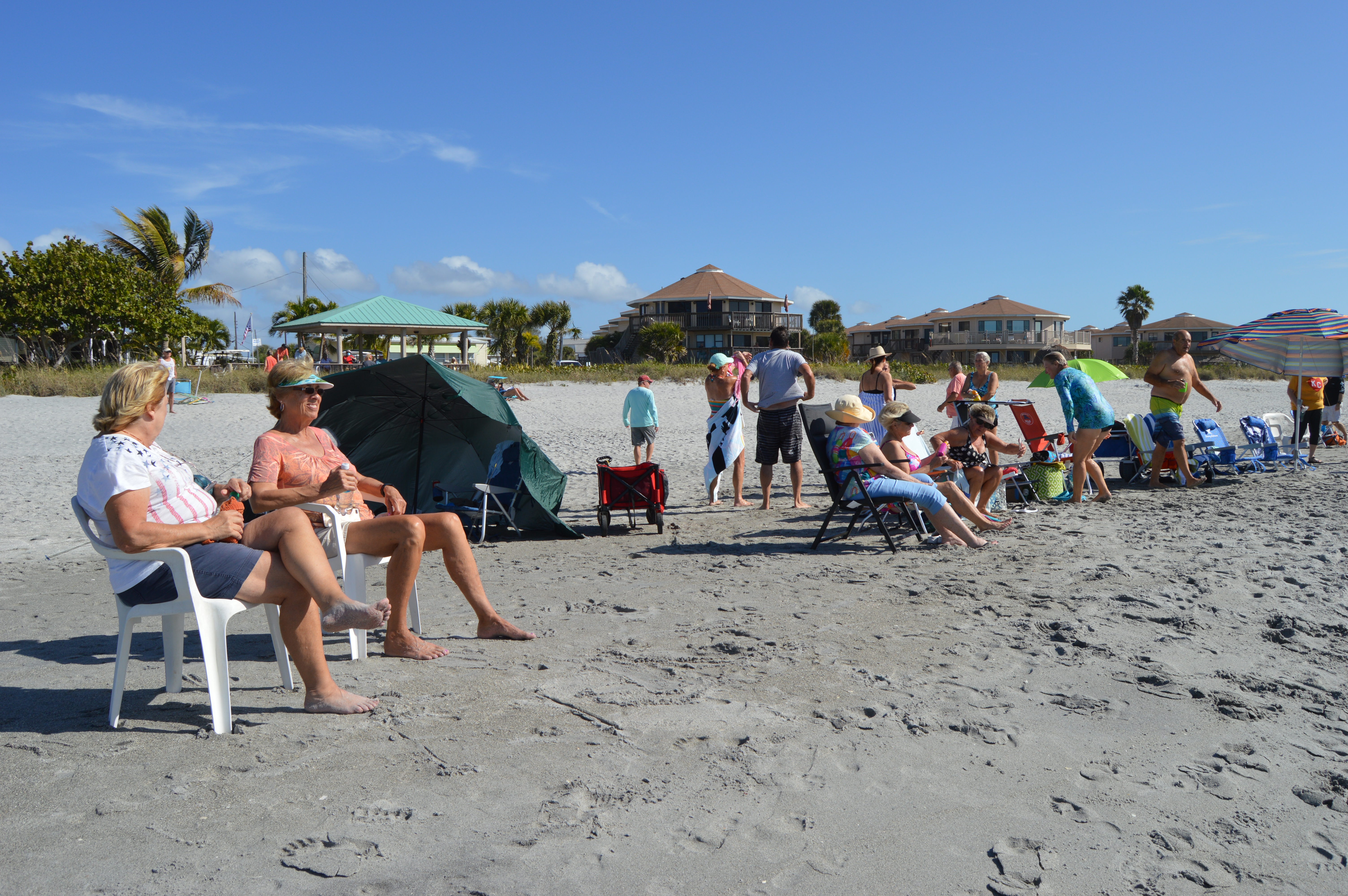 New Years Day Plunge 2021 - Photos by MJ Bishop - Slide 24  